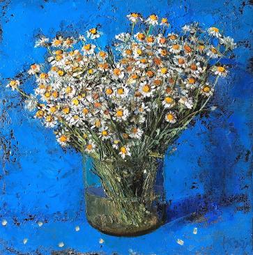 Daisies in front of blue wall